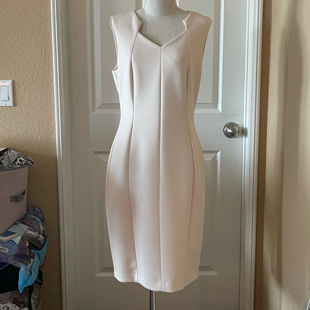 Calvin Klein pencil style and princess seams dress